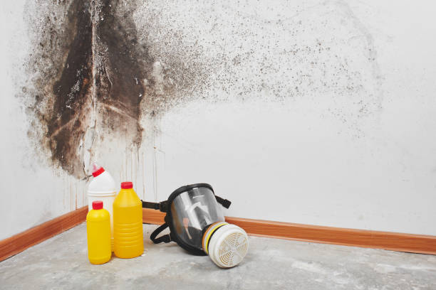 Best Mold Cleaning Services  in Marlow, OK