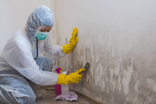 Best Water Damage Restoration  in Marlow, OK