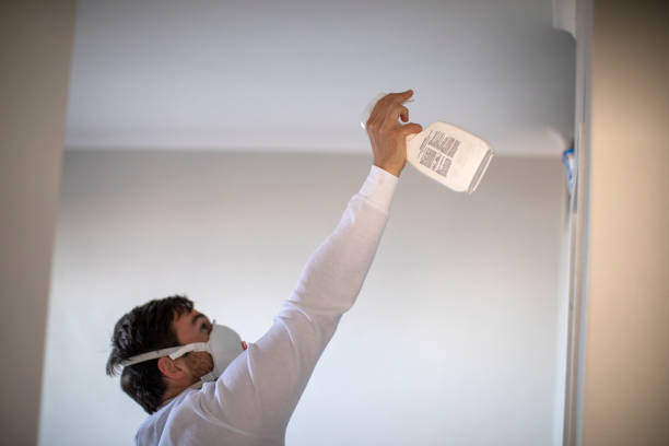 Best Office Mold Removal Services  in Marlow, OK