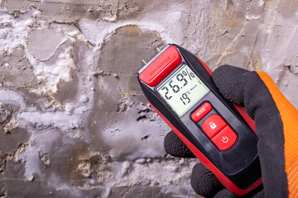 Best Office Mold Removal Services  in Marlow, OK