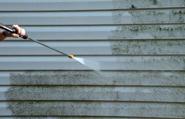 Best Mold Removal and Inspection  in Marlow, OK