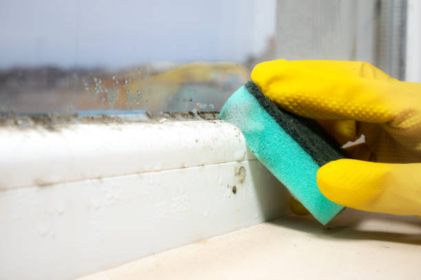 Best Mold Testing  in Marlow, OK