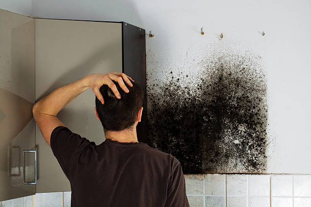 Mold Removal and Inspection in Marlow, OK
